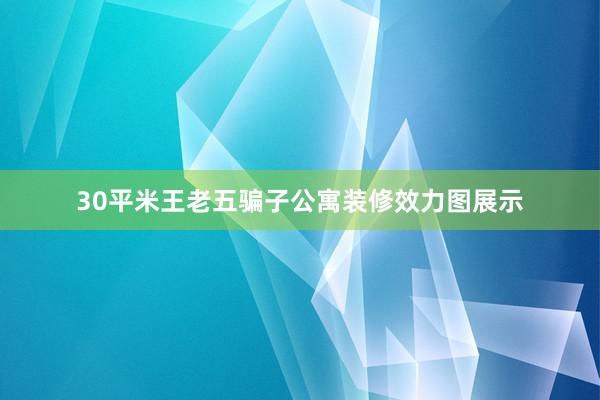 30平米王老五骗子公寓装修效力图展示
